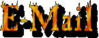 email.gif (3903 bytes)